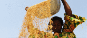 AMEA case study GIZ Inclusive Financing Benin Featured Image