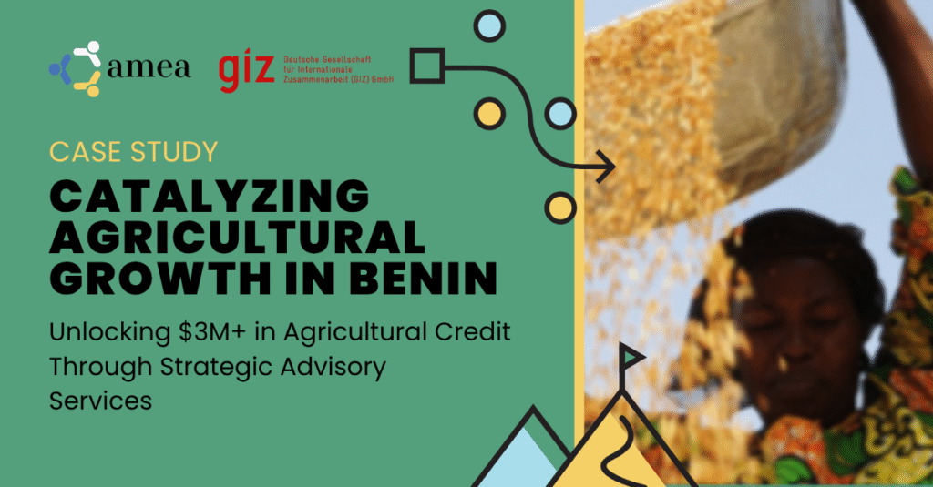 Catalyzing Agricultural Growth in Benin Featured Image 1
