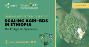 ATI AgriHub Ethiopia Case Study 2 Wide