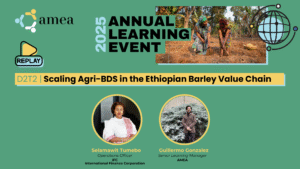 D2T2 _ Scaling solutions - malt barley in Ethiopia