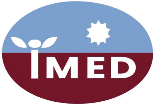 IMED Limited Logo Cropped