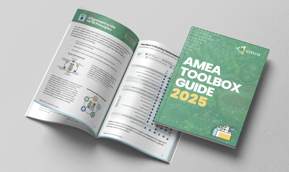 AMEA Toolkit Guide 2025 Download Web